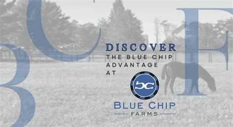 blue chip farms llc